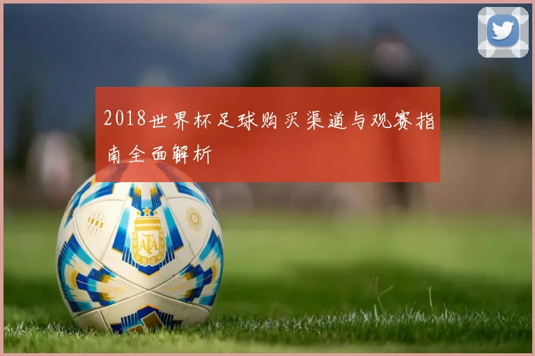 2018世界杯足球购买渠道与观赛指南全面解析